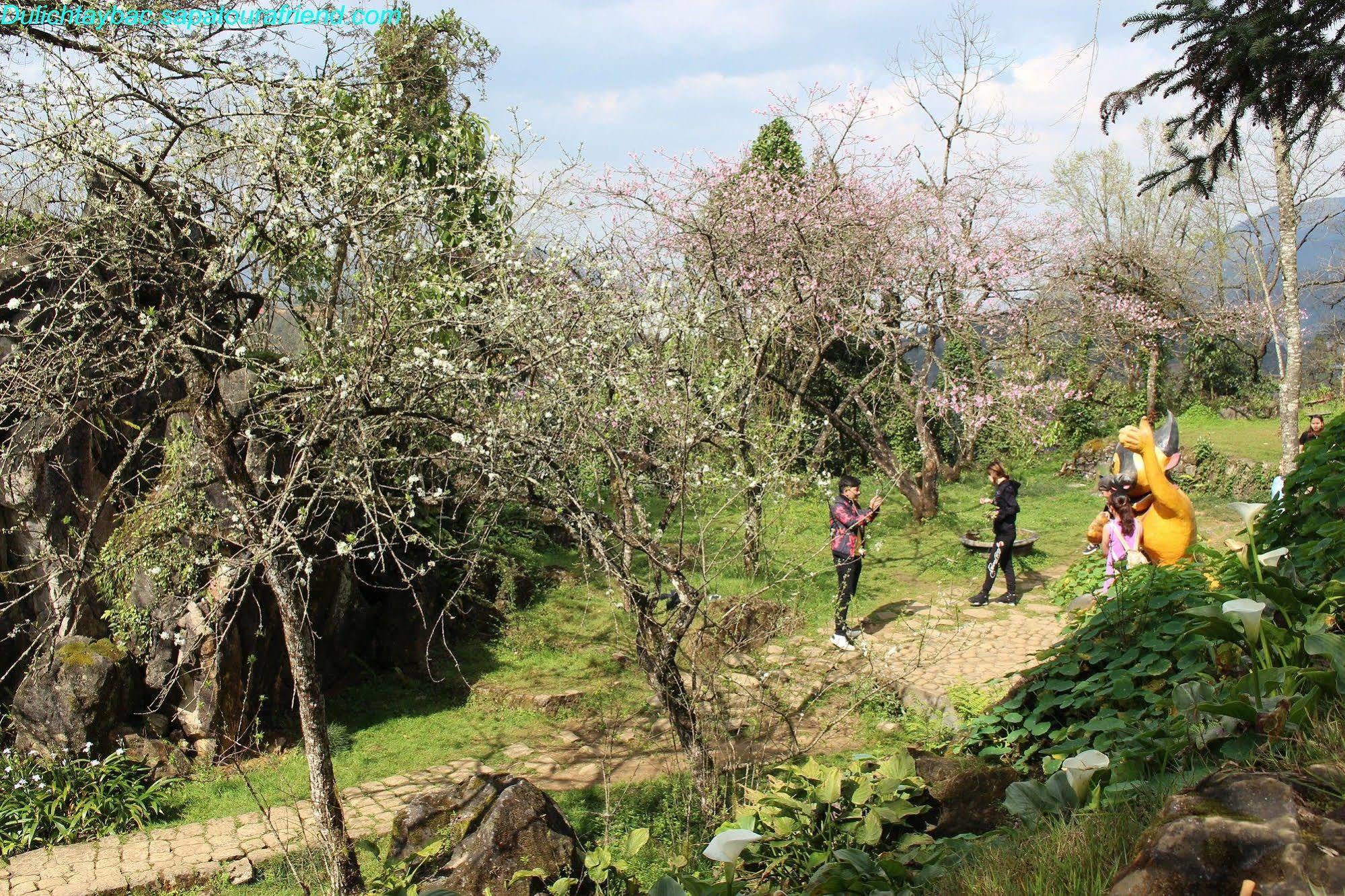 Sapa Sunflower Hotel Luaran gambar